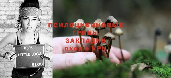сатива Няндома