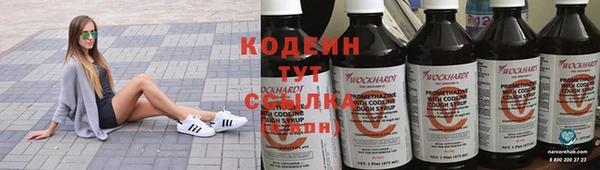 СК Осинники
