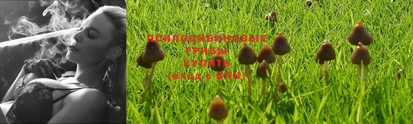спайс Остров