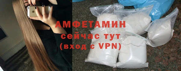 сатива Няндома