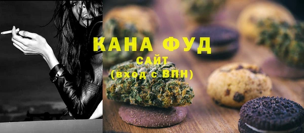 сатива Няндома