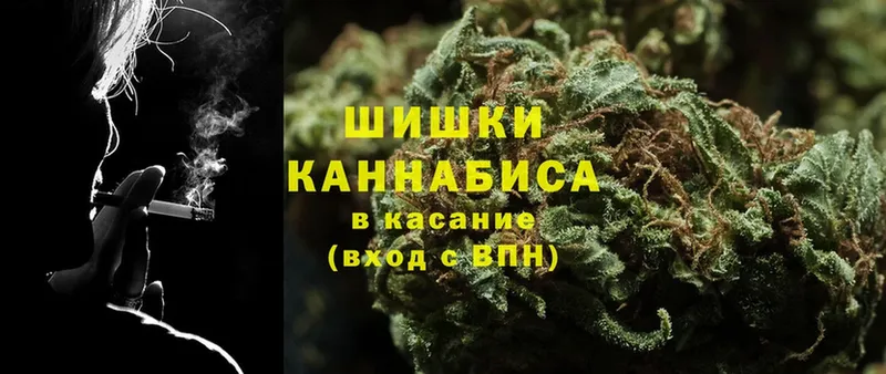 где найти   Кингисепп  Каннабис OG Kush 